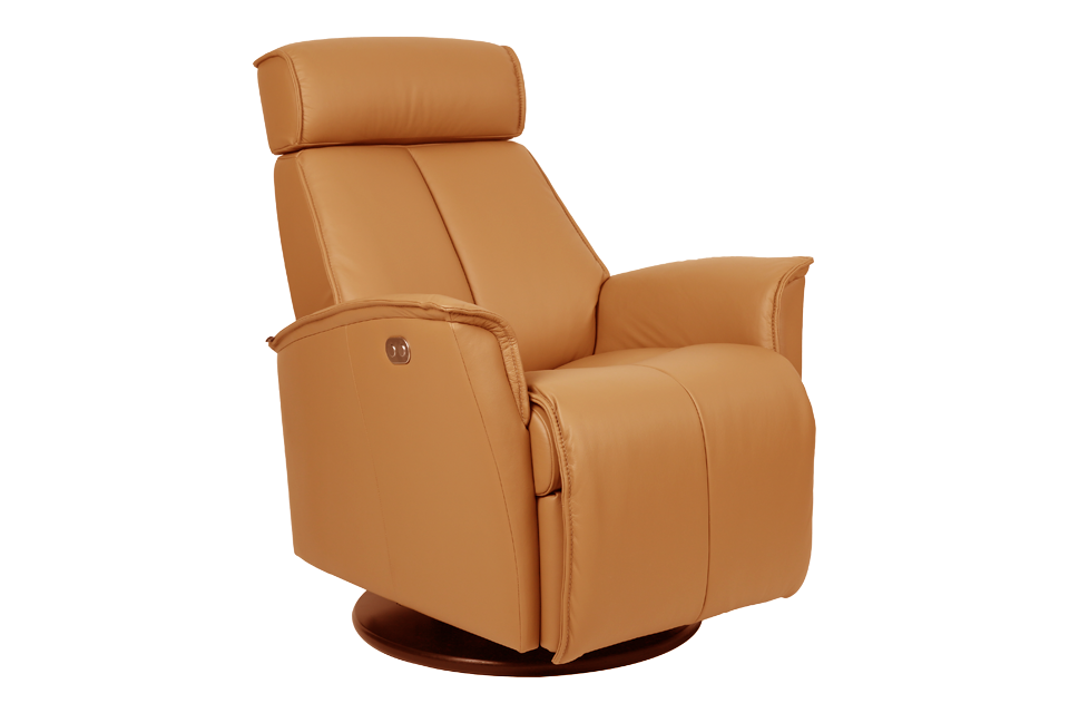 Fjords Leather Recliner