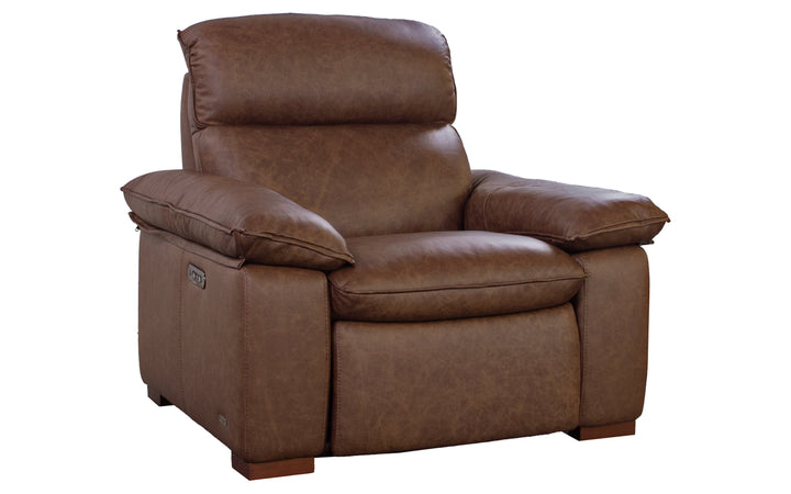 Violino Leather Power Recliner
