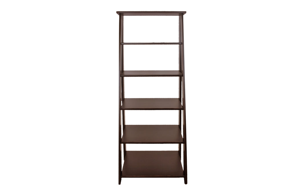 Pine Ladder Shelf