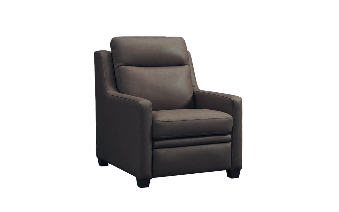 InMotion Leather Power Recliner