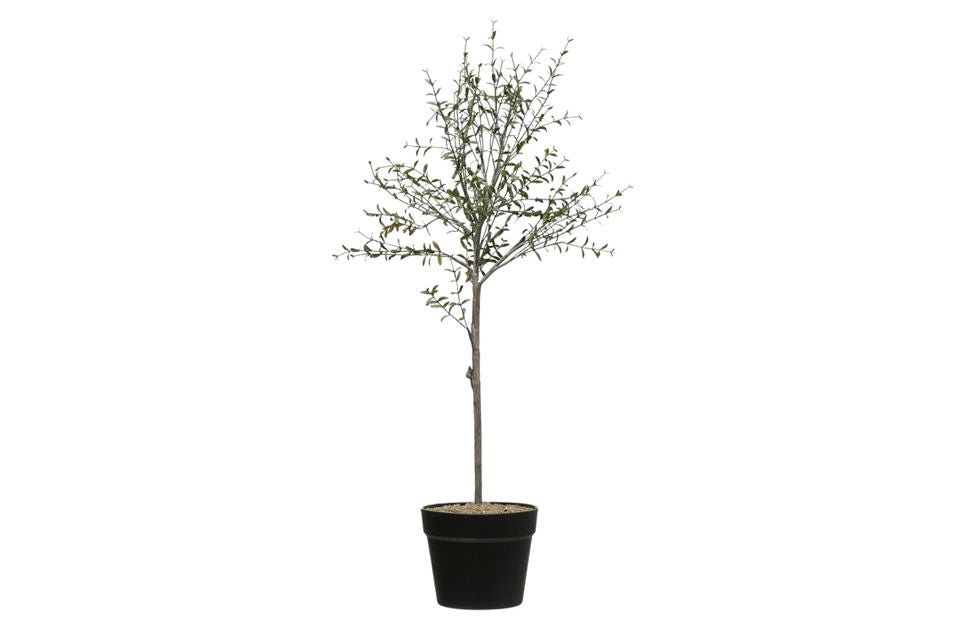 Faux Thyme Topiary