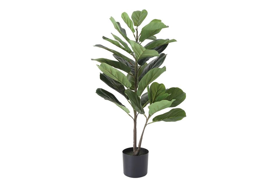 Faux Fiddle Fig Leaf Plant