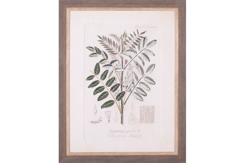 Antique Leaves Ii Framed Artwork