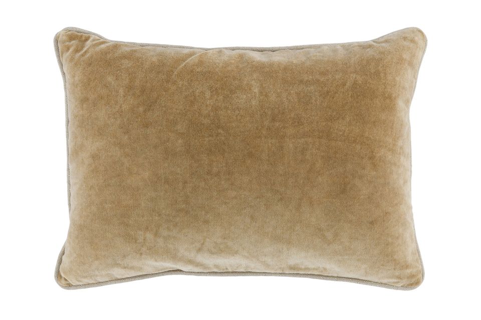 Heirloom Velvet Pillow