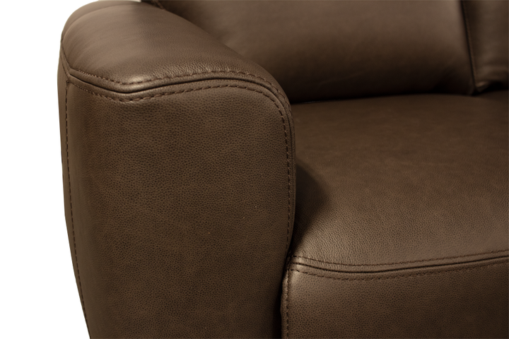 Violino Leather Power Loveseat