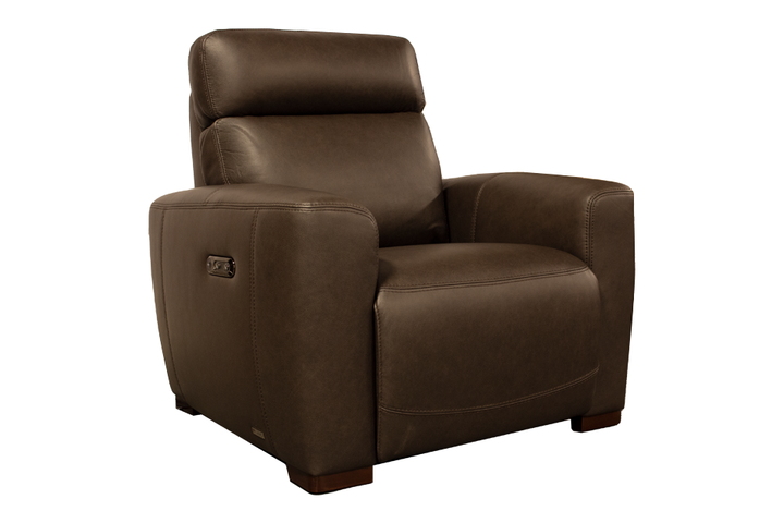 Violino Leather Power Recliner