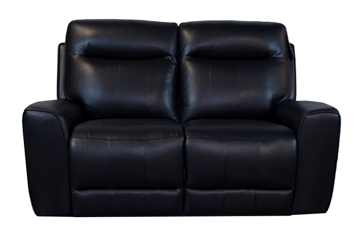 Violino Leather Loveseat