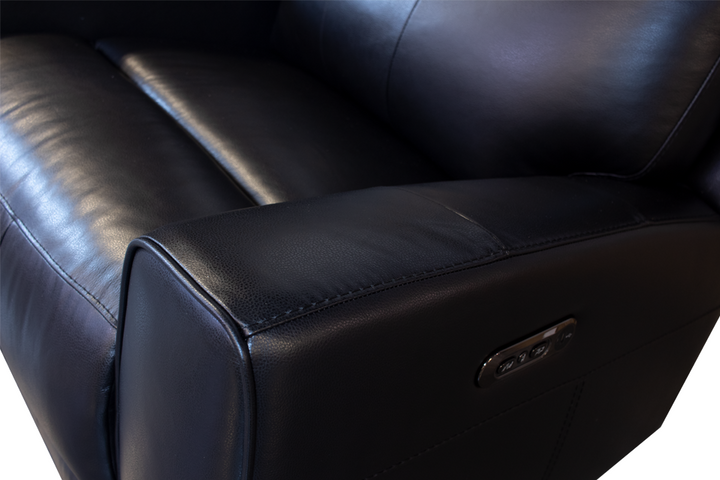 Violino Leather Loveseat