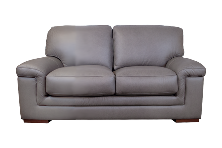 Violino Leather Loveseat