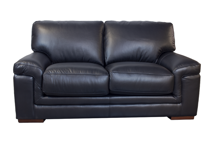 Violino Leather Loveseat