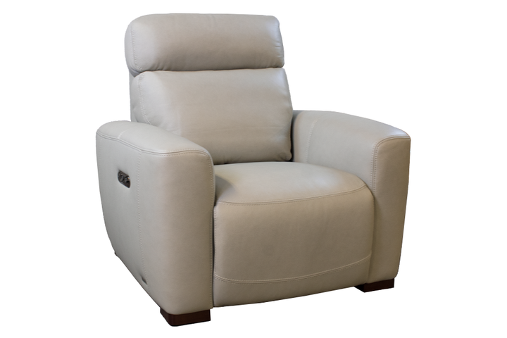 Violino Leather Power Recliner