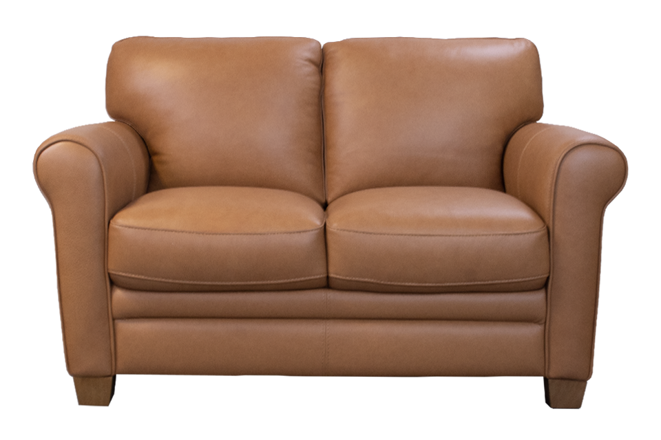 Violino Leather Loveseat