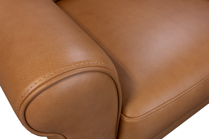 Violino Leather Chair