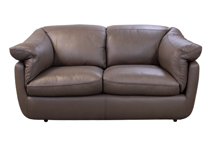 Violino Leather Loveseat