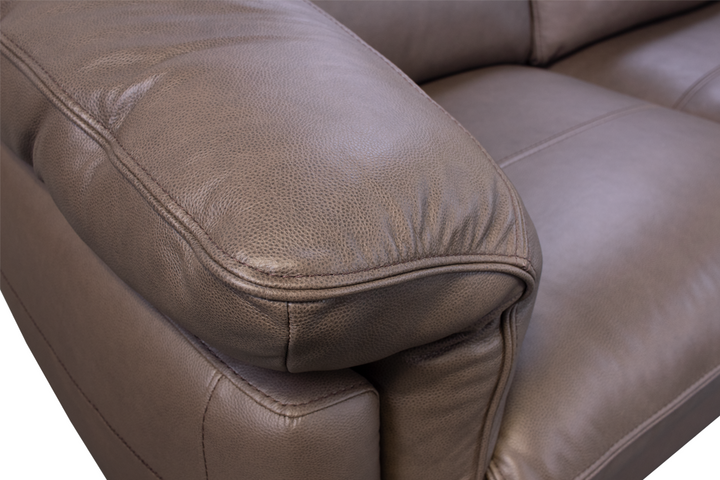 Violino Leather Loveseat