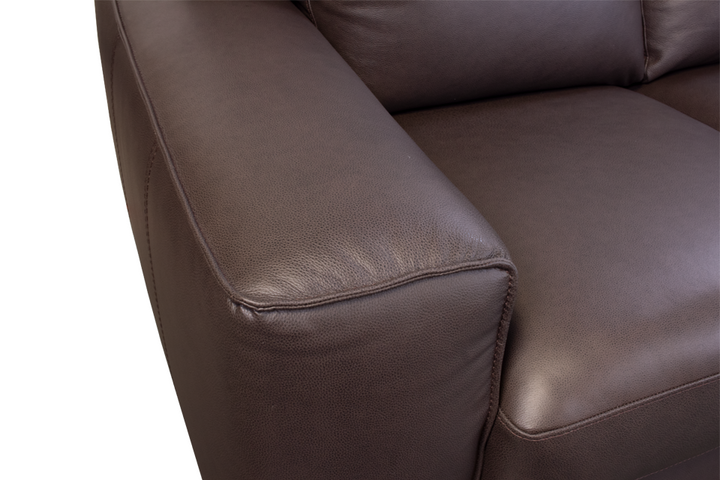 Violino Leather Loveseat