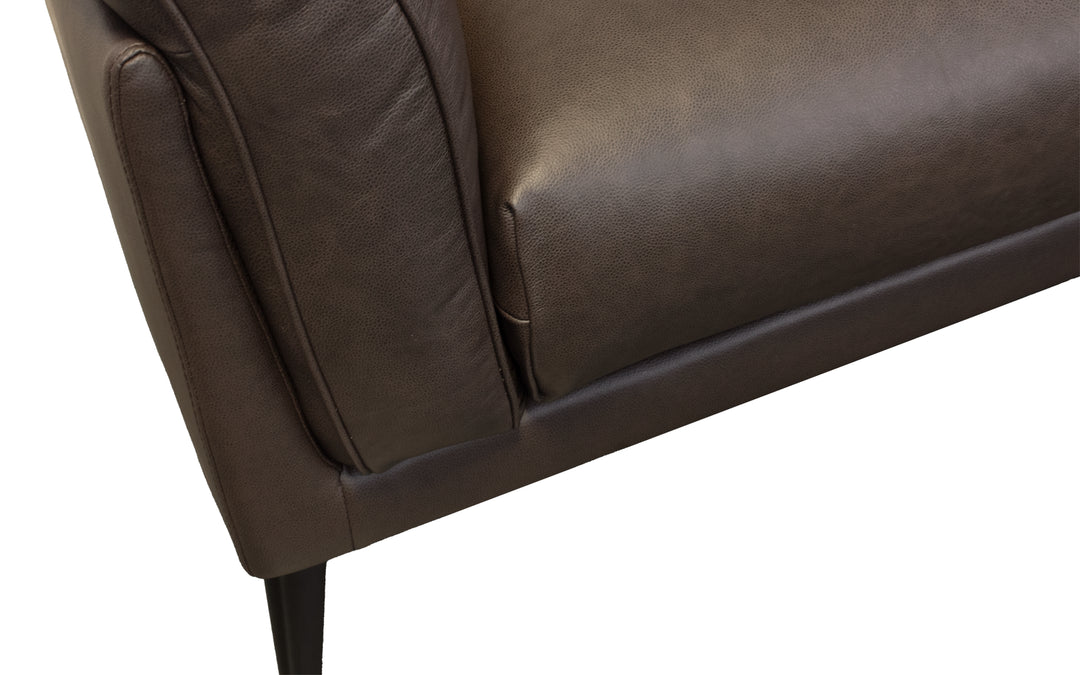 Violino Leather Loveseat