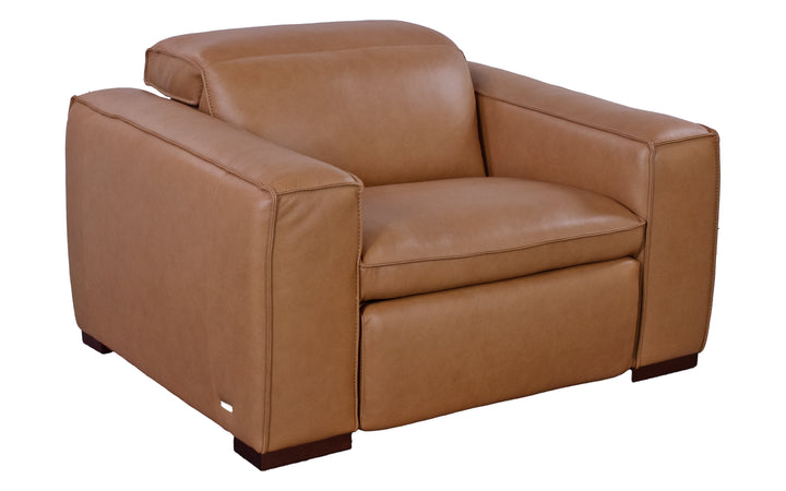 Violino Leather Power Recliner