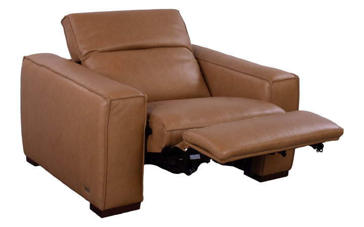 Violino Leather Power Recliner