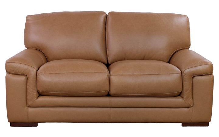 Violino Leather Loveseat