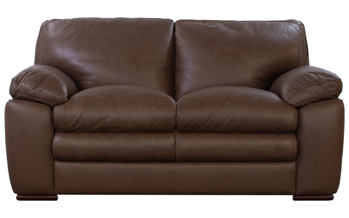 Violino Leather Loveseat