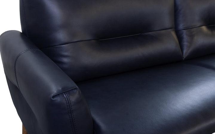 Violino Leather Sofa