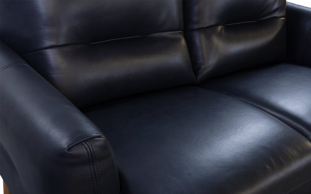 Leather Violino Loveseat
