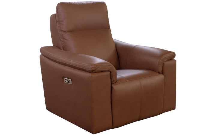 Elran Leather Power Recliner