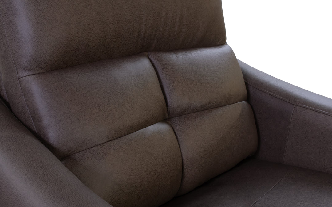 Elran Asher Leather Power Recliner