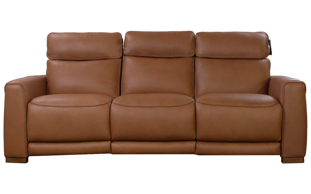 Violino Leather Power Reclining Sofa