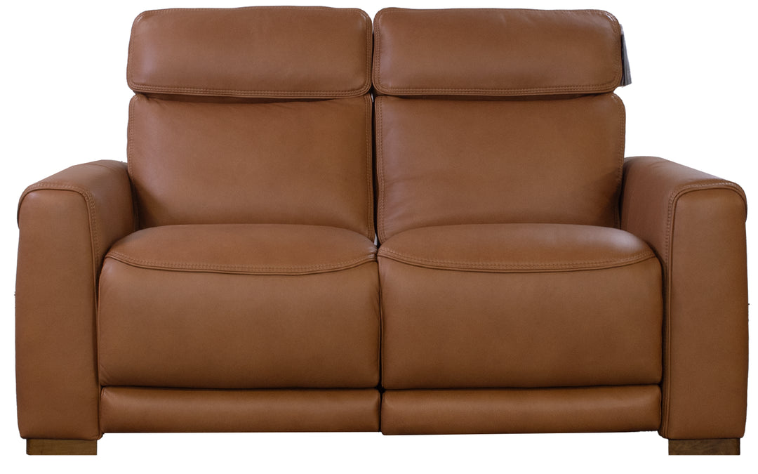 Violino Leather Power Reclining Loveseat