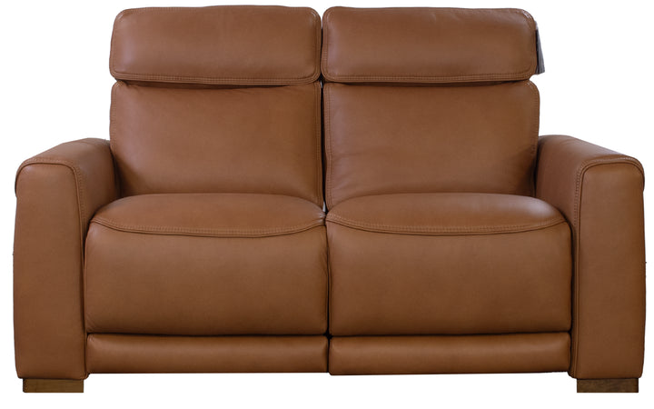 Violino Leather Power Reclining Loveseat