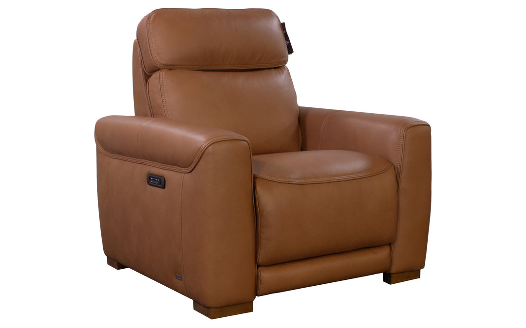 Violino Leather Power Recliner