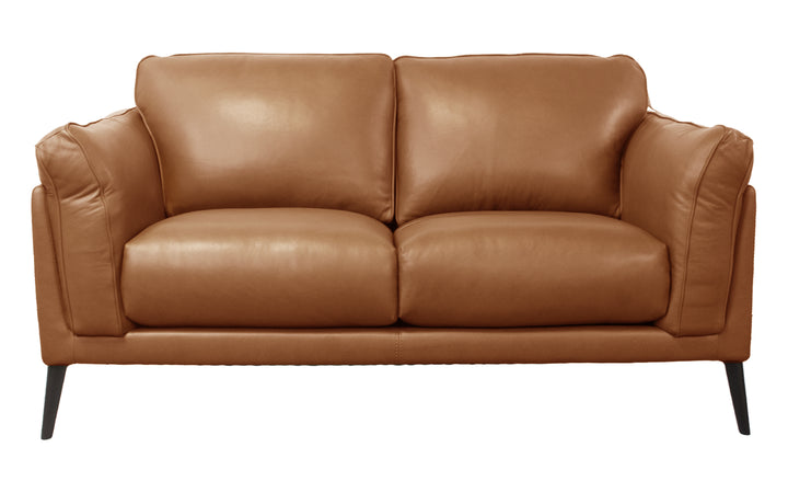 Violino Leather Loveseat