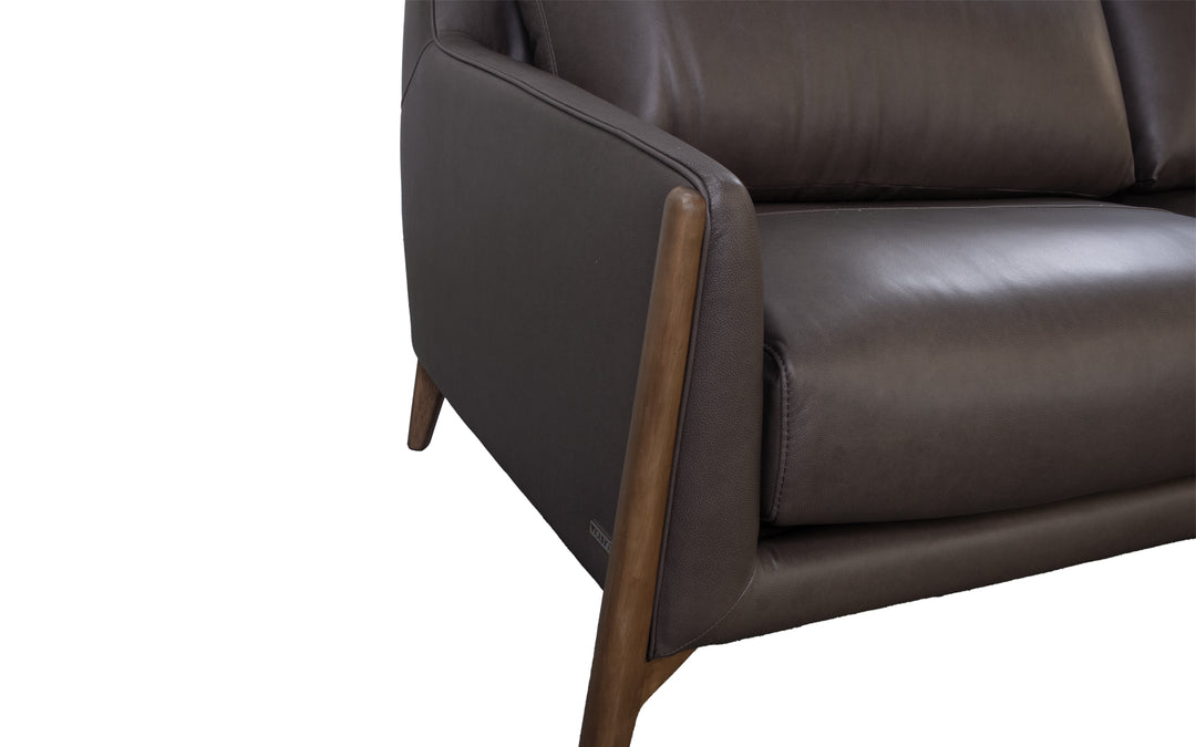 Violino Leather Sofa