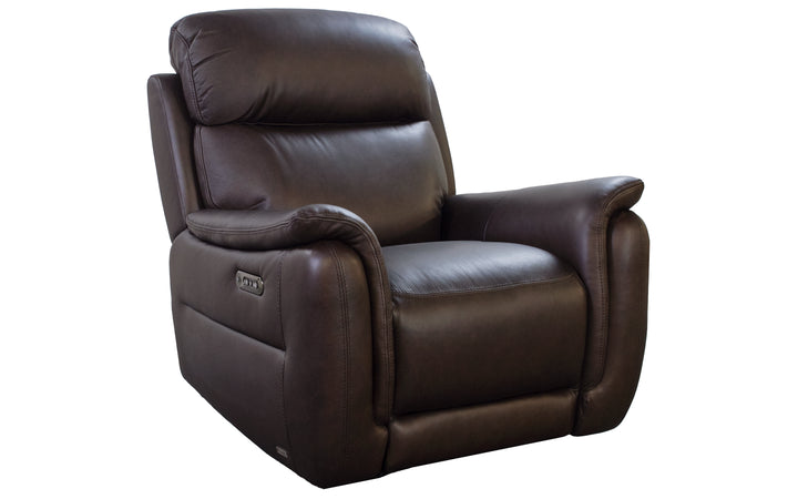 Violino Leather Power Recliner