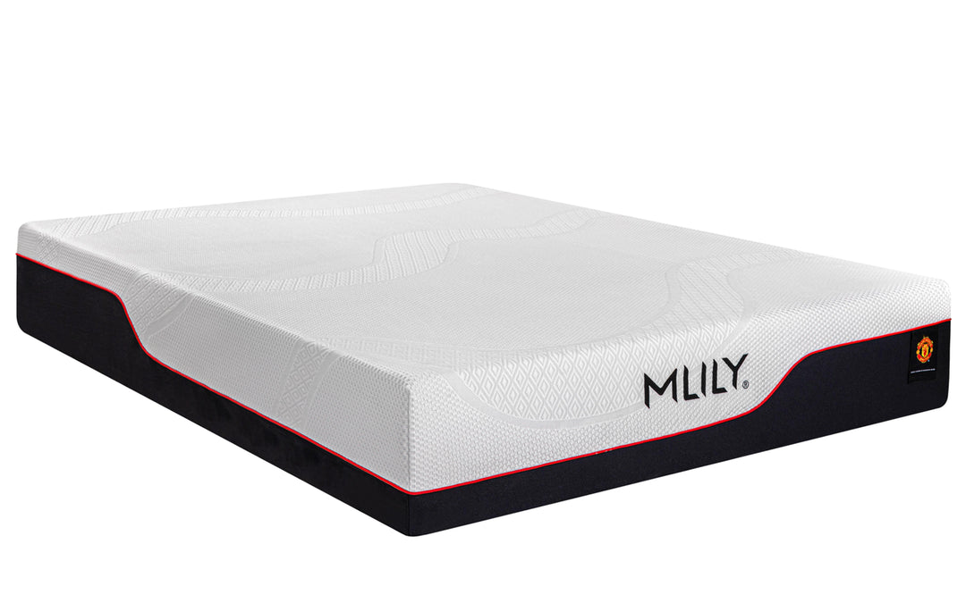 MLILY The Dream