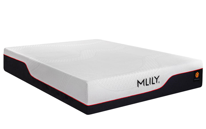 MLILY The Dream