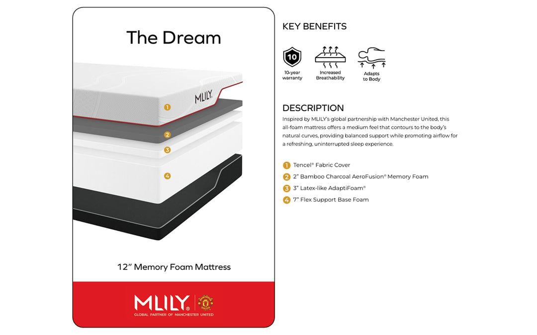MLILY The Dream