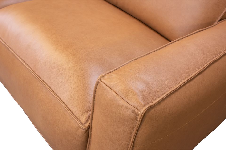 Violino Leather Sectional